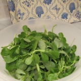 Portulak: kako kuvati, kako jesti